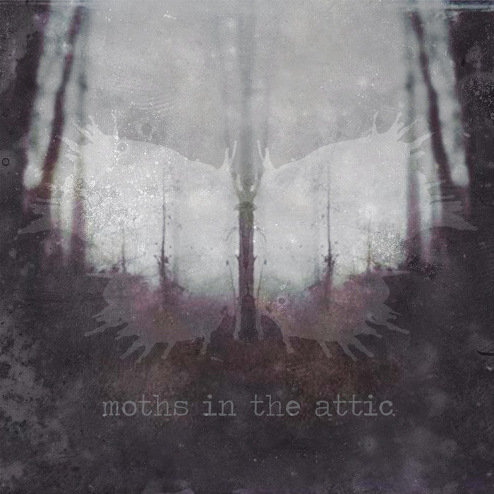Moths in the Attic (Deluxe) Moths in the Attic, Zack Fletcher Moths