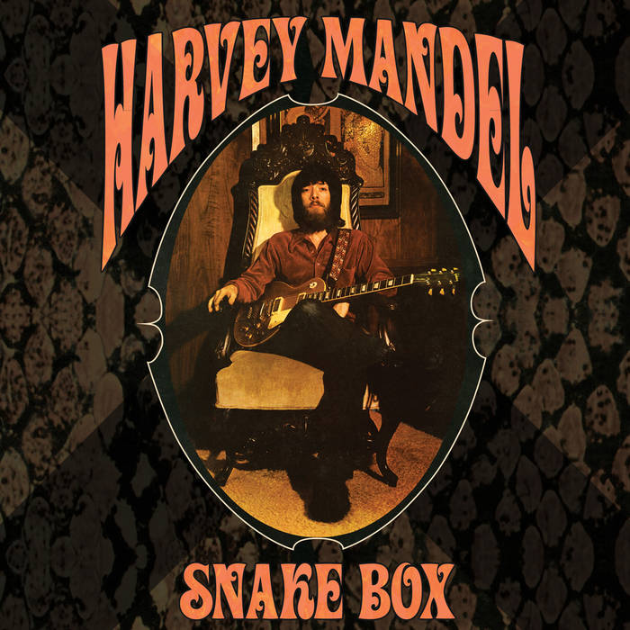 【新品未開封】【レコード】Harvey Mandel The Snake 61WqzdWhYSL._UF1000,1000_QL80_.jpg
