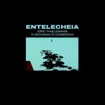 Entelecheia | Eric Thielemans & Giovanni Di Domenico | giovanni di