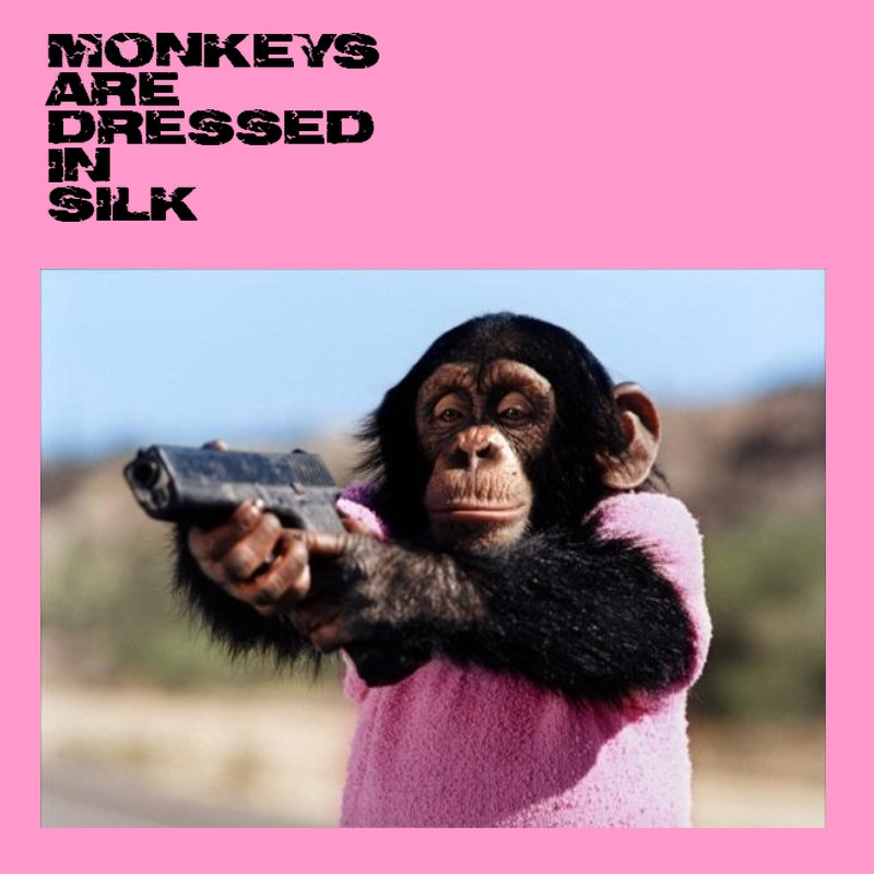 you can dress a monkey in silk Monkeys are dressed in silk