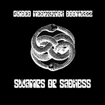 Swamps of Sadness cover art