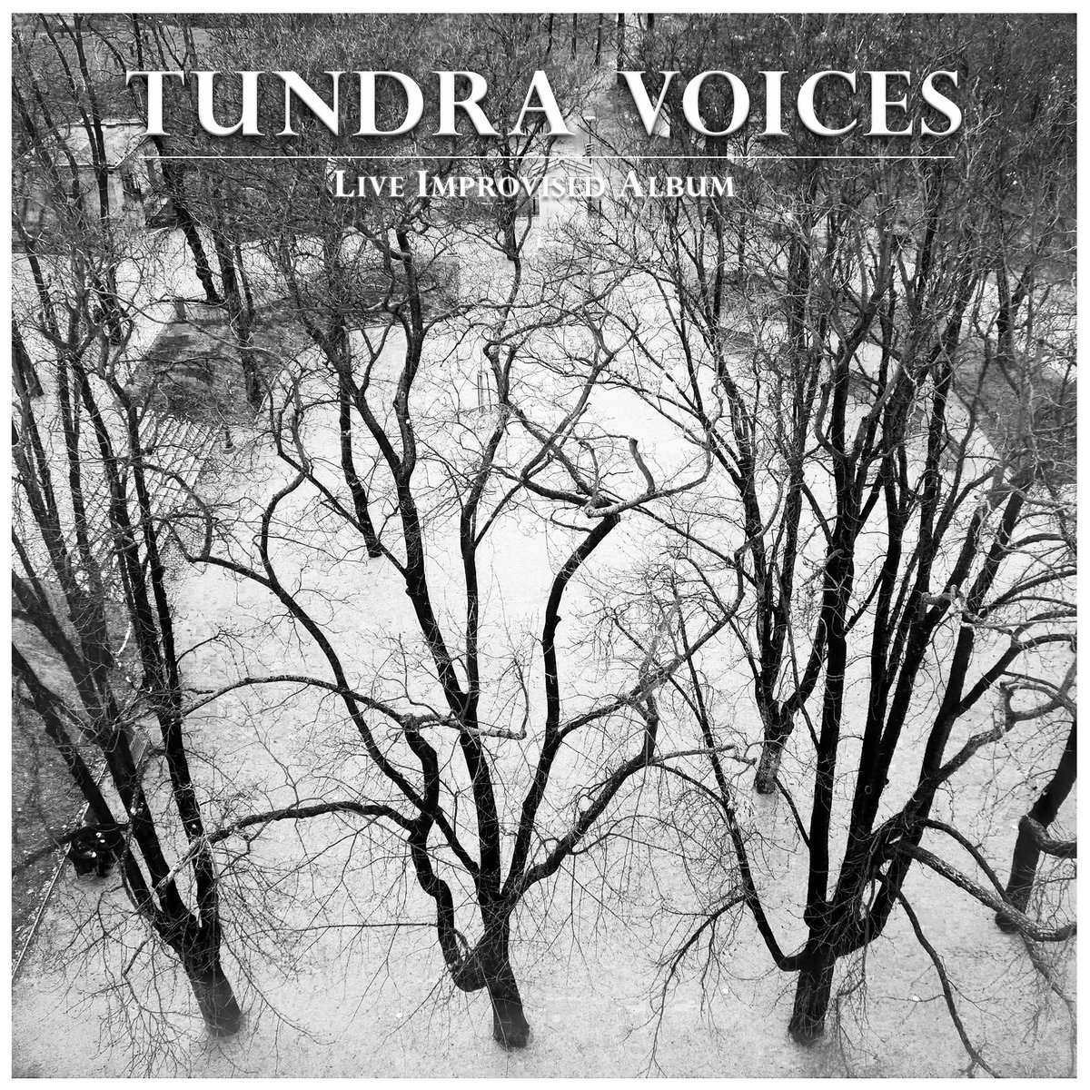 Paradox Obscur – Tundra Voices