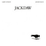 Jackdaw
