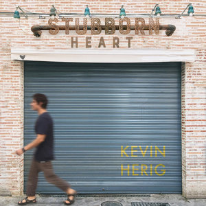 Stubborn Heart cover