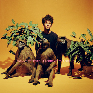 未開封LE PAMPLEMOUSSE MY LOVE IS BURNING UP Skinny Pelembe - My Love Is Burning, Up [Official Video