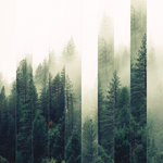 That Which is Not - The Basic Sharpness of Emotions