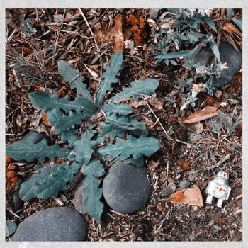 Album artwork for We Thought It Was Normal