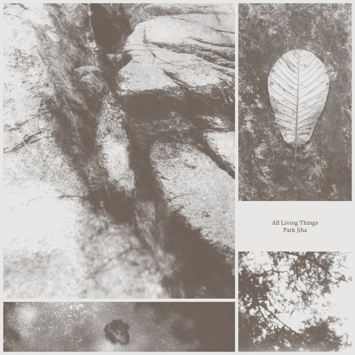 All Living Things, by Park Jiha