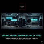 DEVELOPER SAMPLE PACK PRO 305 LOOPS