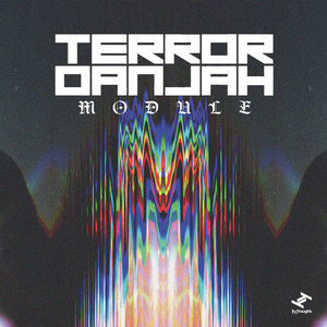 Module cover