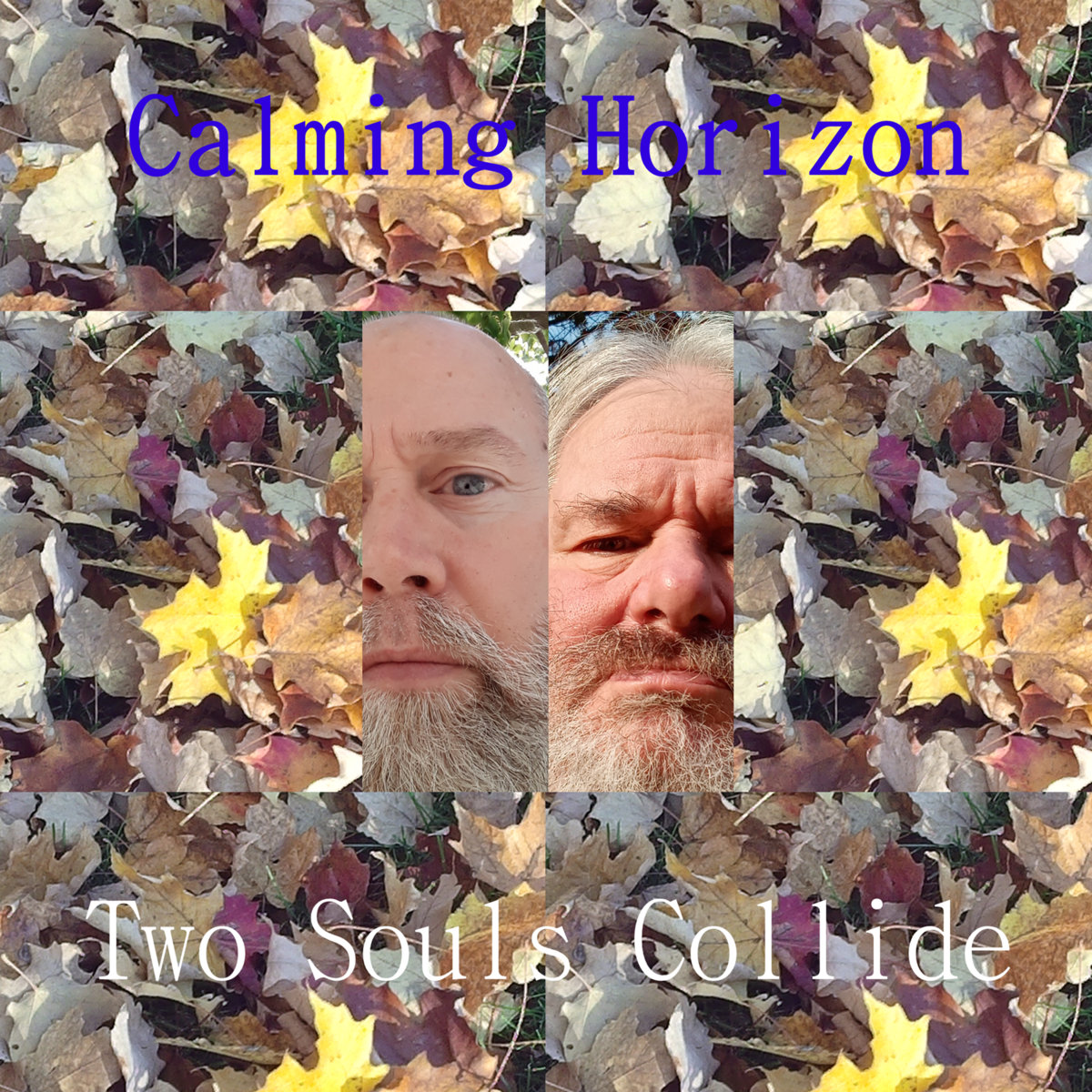 Two Souls Collide John Scott Shepherd & Shane Beck (Calming