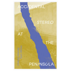 Accidental Stereo at the Peninsula (Apologies Imprint, 2021)Renato Grieco & Tom White cover