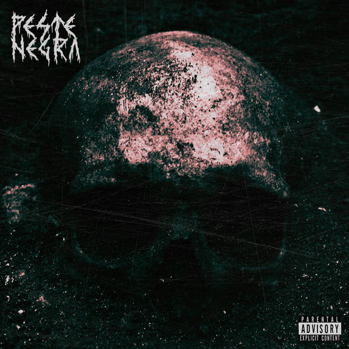 Peste Noire / Ballade ~ 黒盤 2017年プレス Peste Negra | PESTE NEGRA