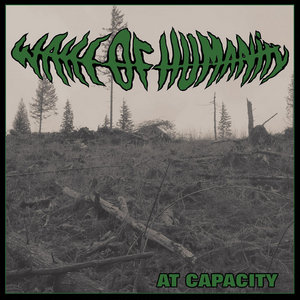 At Capacity cover