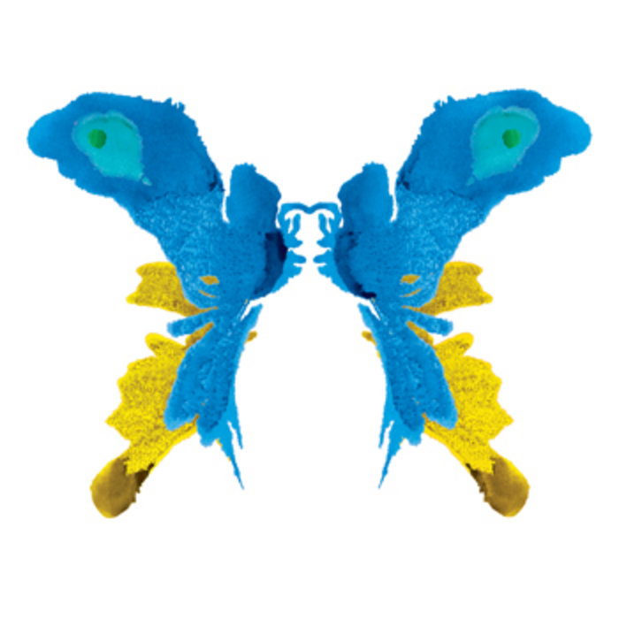 Butterfly | Kelli Ali