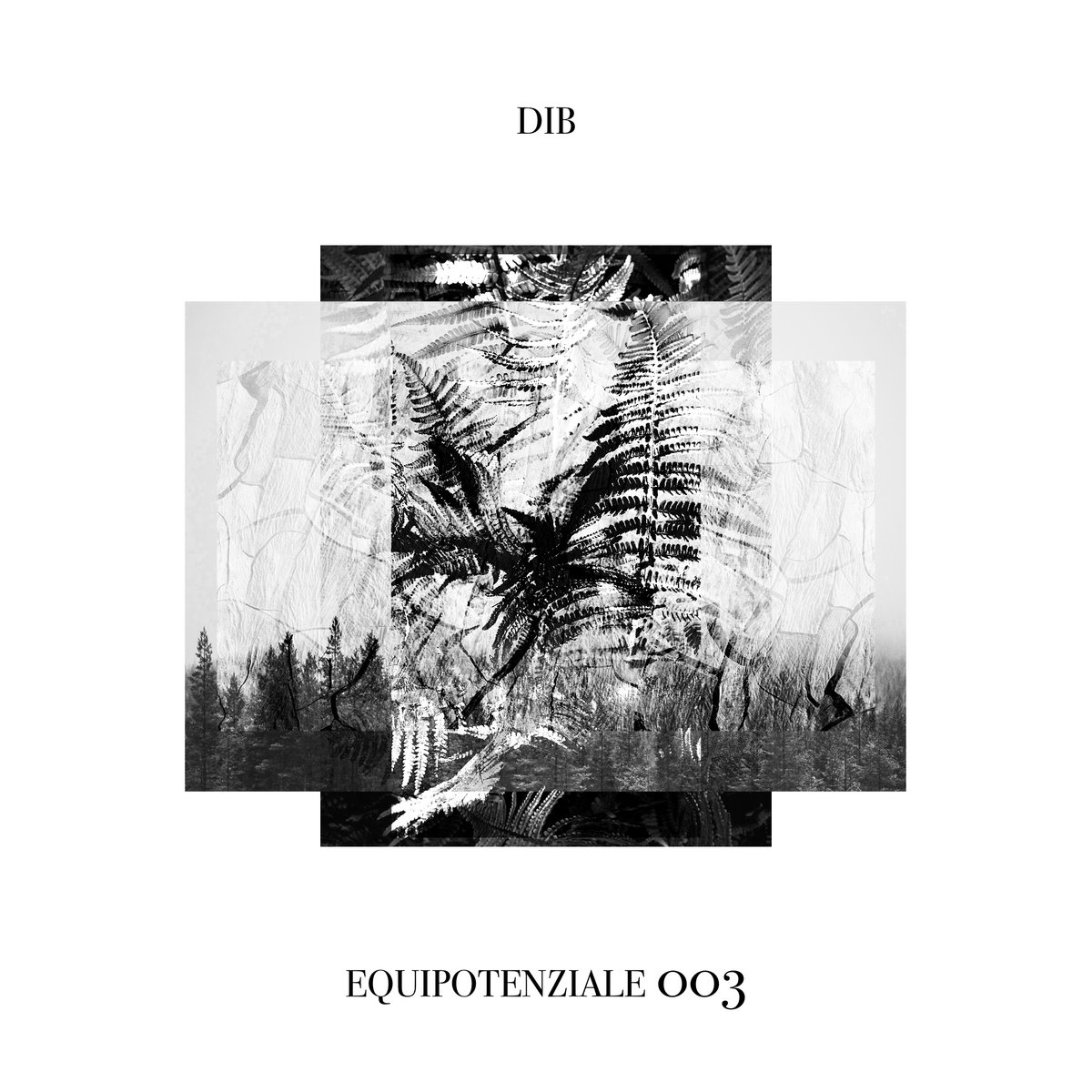 Dib – Equipotenziale 003