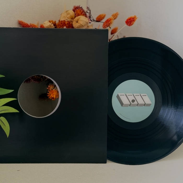 NVRv010 (Saison / Sebb Junior)