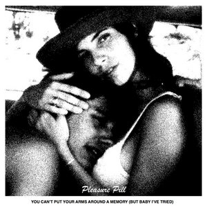 YOU CAN'T PUT YOUR ARMS AROUND A MEMORY (BUT BABY I'VE TRIED) cover