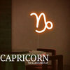 Capricorn (Tee IllaSound Flip)