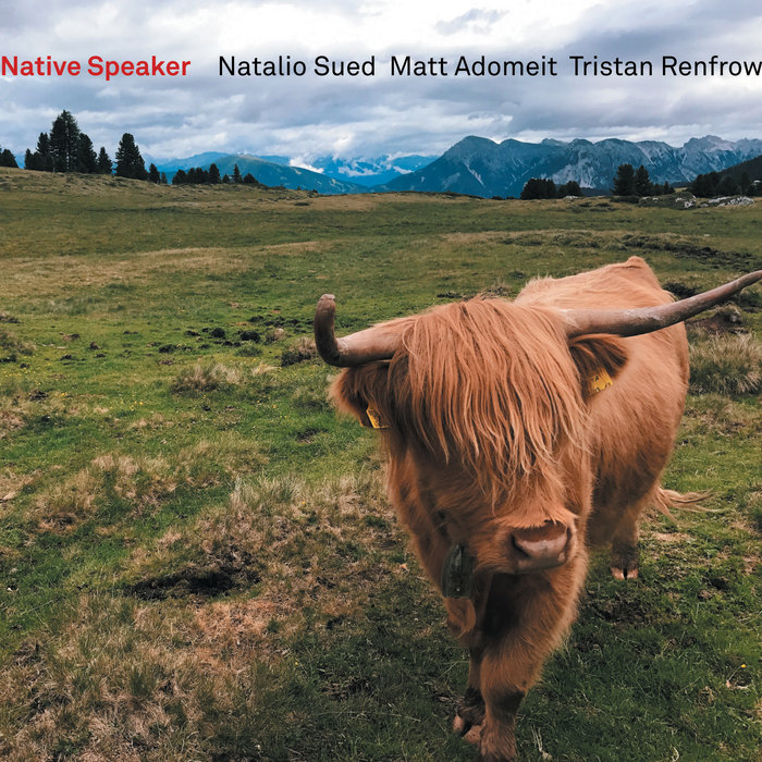 Roses Are Red, Violets Are Blue, Garlic Bread, Blink 182 Native Speaker