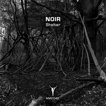 Noir — Shelter (FREE)