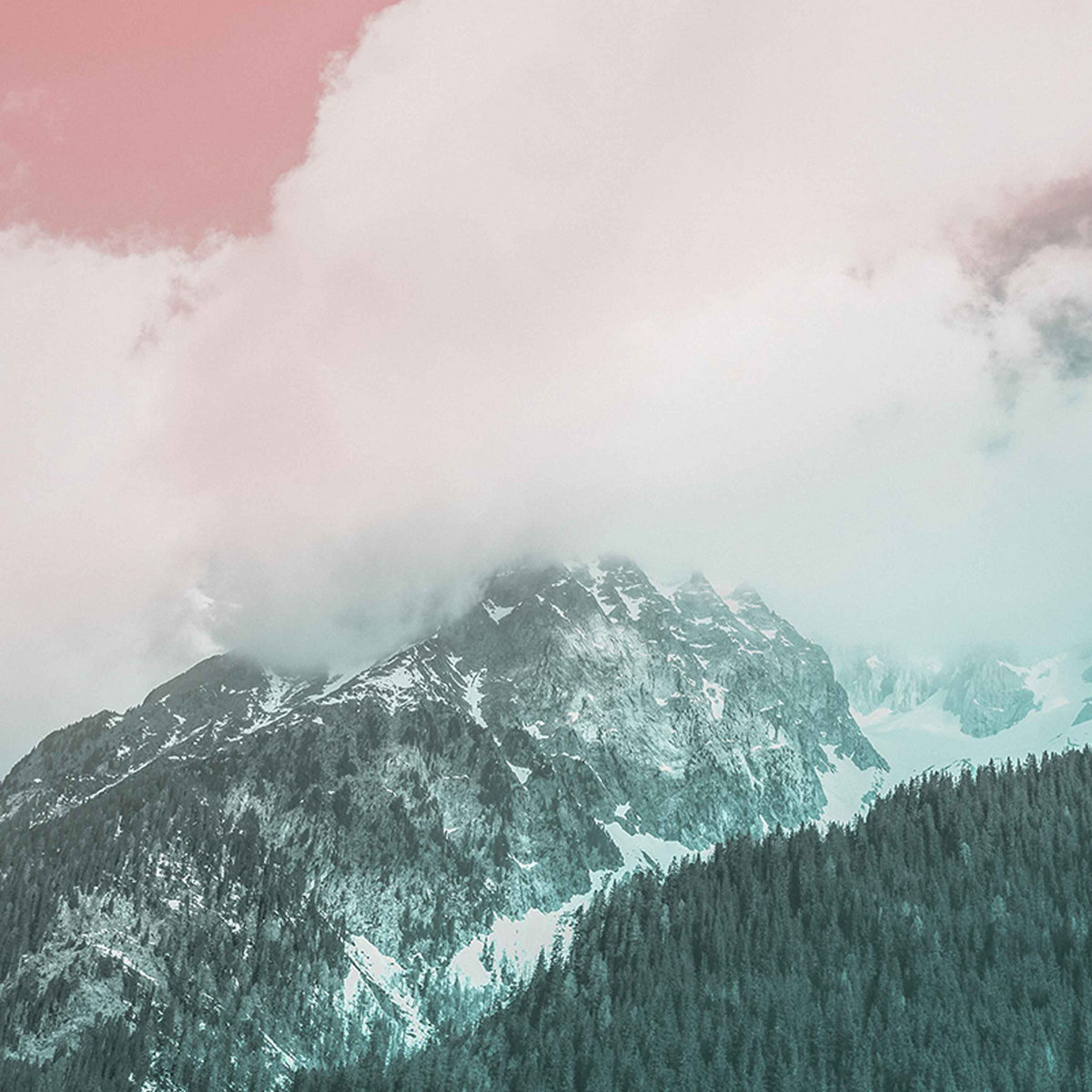 Organic Music Tapes Vol. 4 by Tiago Sousa