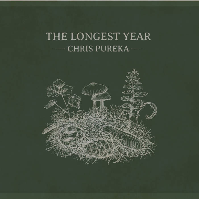洋書 100,000 Years of Beauty 100,000 Years of Beauty 本