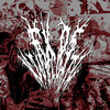 Death Carrier