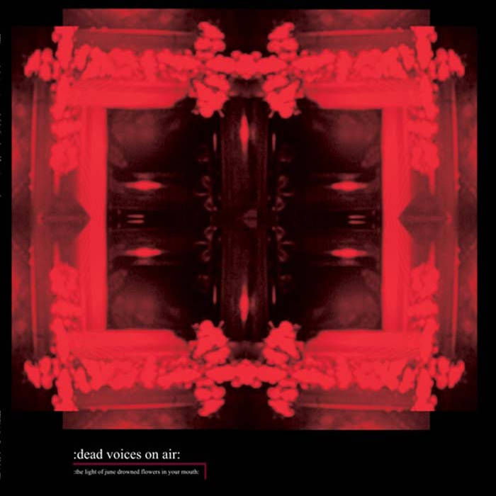 Voices in the air. Dead voice cover. Galows dead voices. Непобедим надпись. Voices in the air.