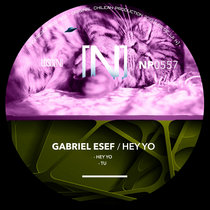 Nopreset Records — Gabriel Esef - Hey Yo