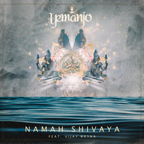 Namah Shivaya feat. Vijay Krsna cover art