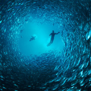 underwater love sequences e.p. cover