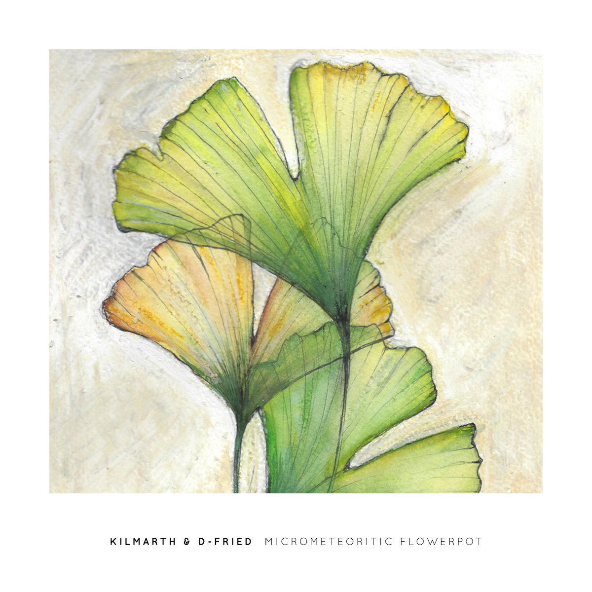 PLANTMAN：前田麦の販売・通販 | OIL by 美術手帖