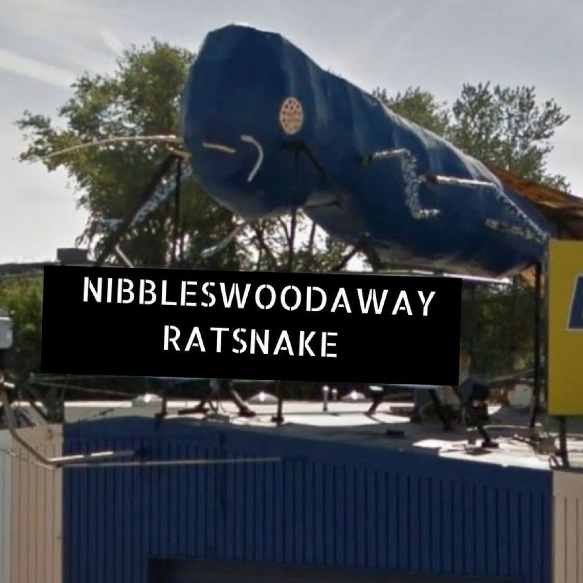 Nibbles Woodaway Ratsnake