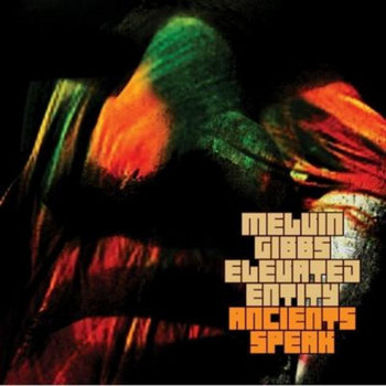 欧LP Melvin Gibbs Anamibia Sessions 1: The Wave EMEGO291V Editions Mego /00284 Melvin Gibbs – Anamibia Sessions 1: The Wave – Vinyl (LP