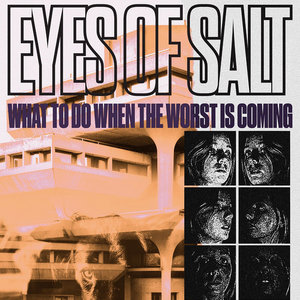 What To Do When The Worst Is Coming cover