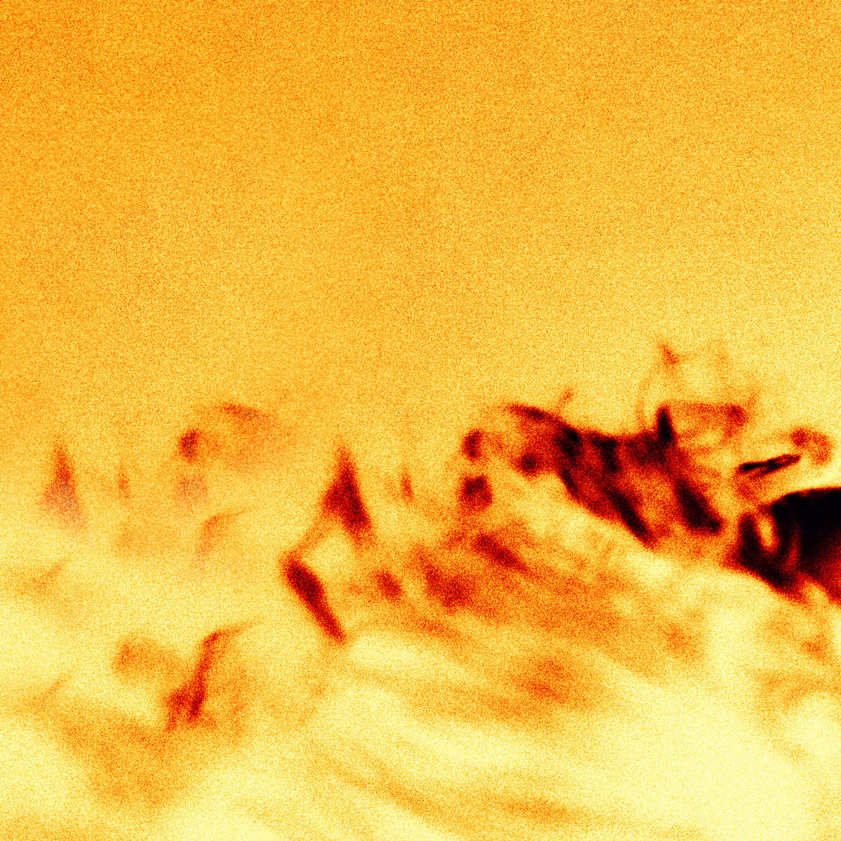 Slowenya   the wild inevitable