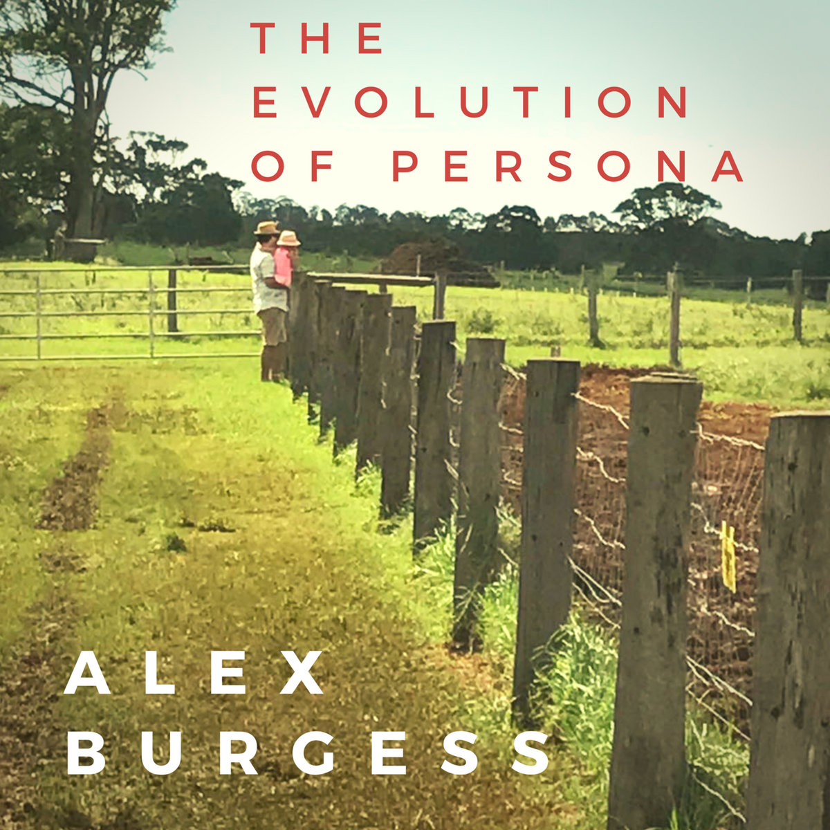 Alex Bergus The Evolution Of Persona | Alex Burgess