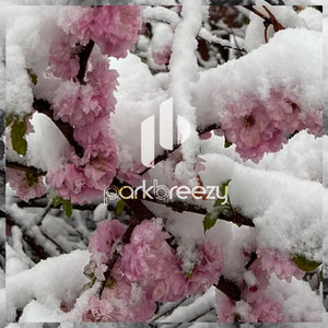 parkbreezy — Feeling You
