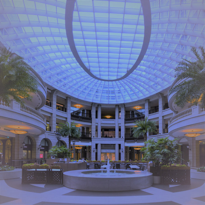 LOCAL SHOPPING CENTER | DELUXE+