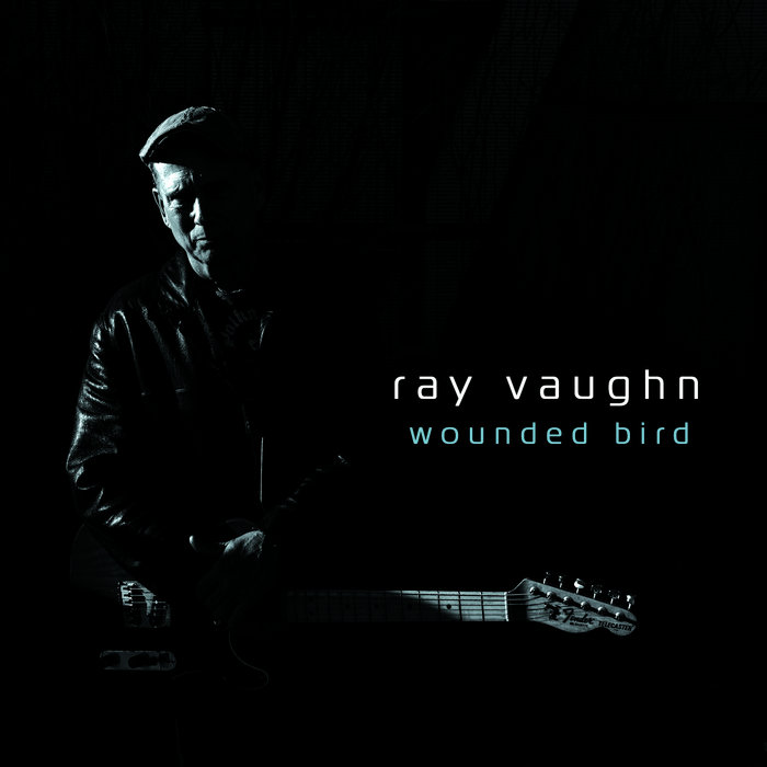 Wounded Bird | Ray Vaughn