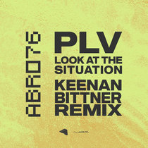 PLV — Look At The Situation