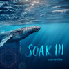 SOAK IN
