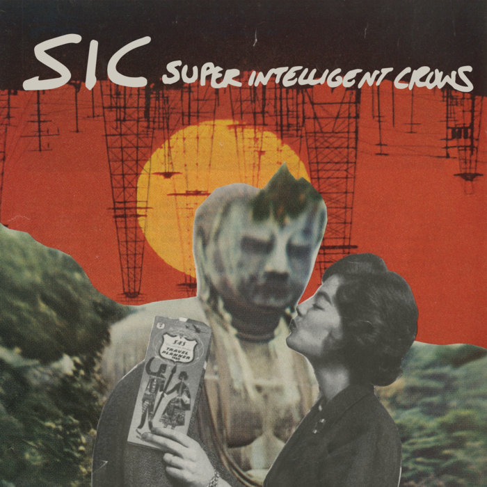 SIC | Super Intelligent Crows