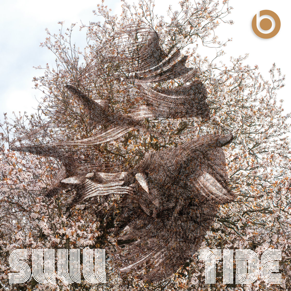 SUUU / Tide cover