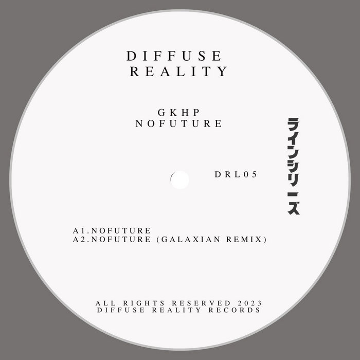 Gkhp - Nofuture - incl. remix by Galaxian [Vinyl] | Diffuse