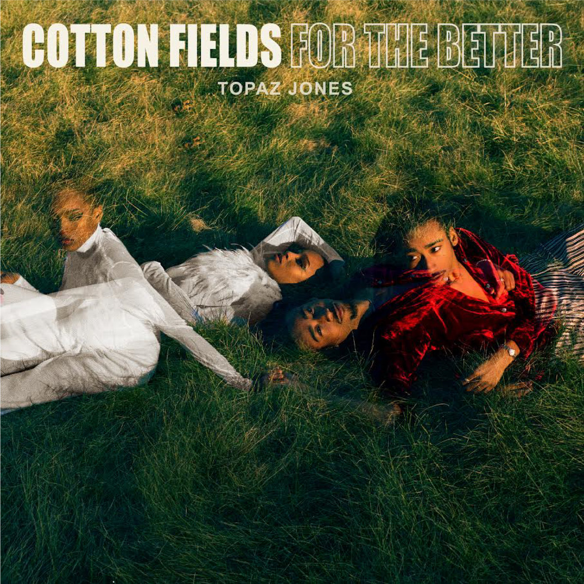 Cotton Fields