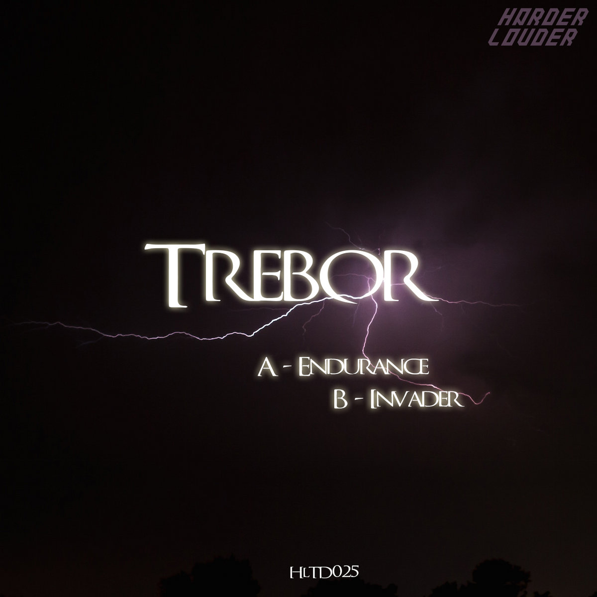 Artwork for Endurance / Invader