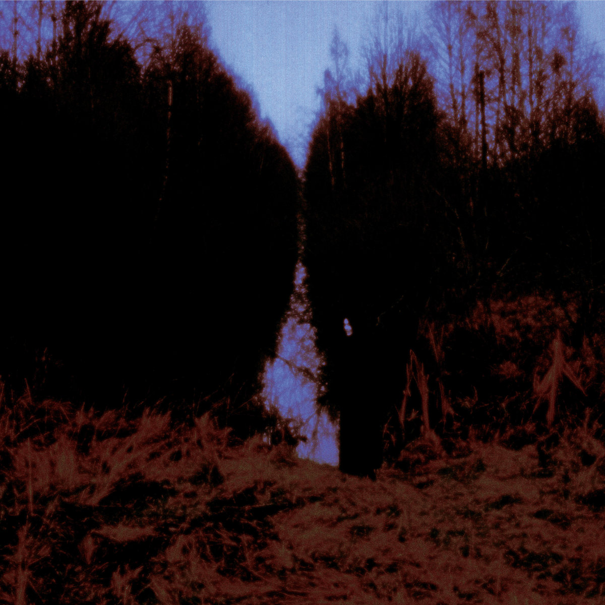 My Arms, Your Hearse (Abbey Road Remaster) | Opeth | Candlelight