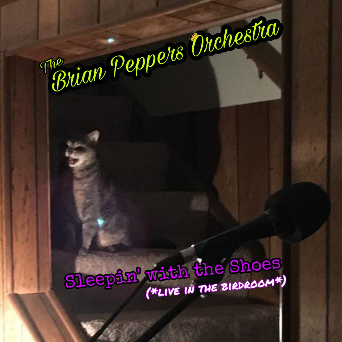 Sleepin' With the Shoes (live in the birdroom) Brian Peppers Orchestra